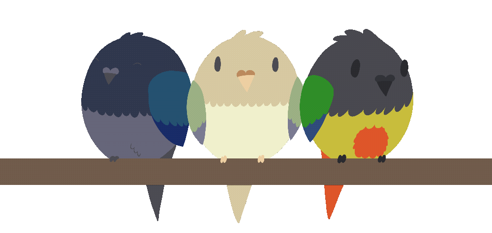 Gif of my three birds